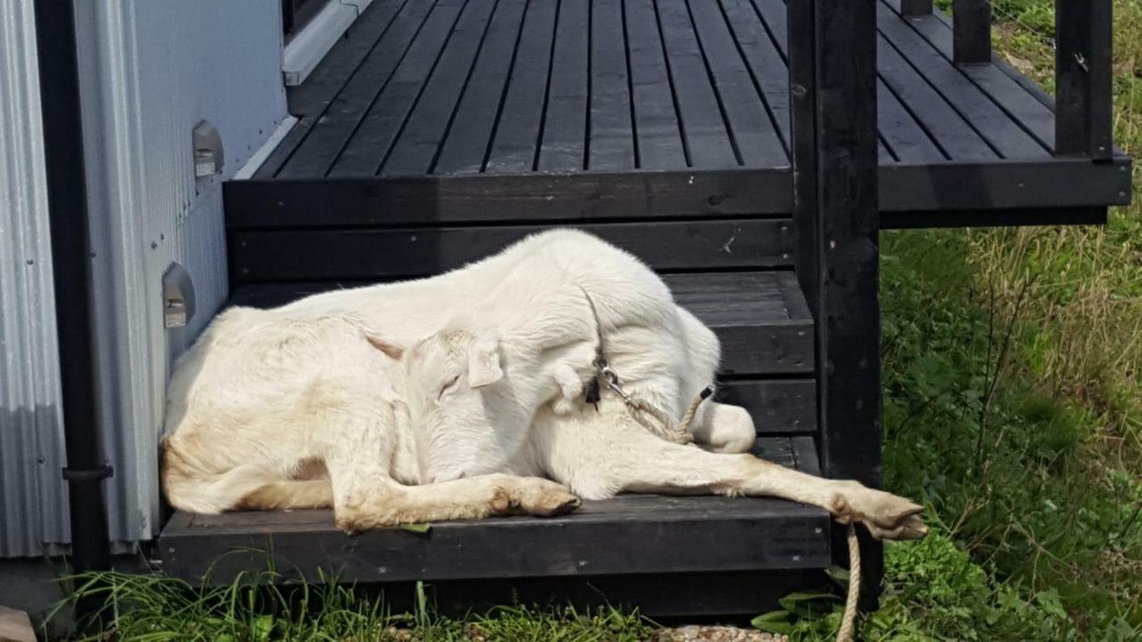 Asobi Lodge Kyotango Εξωτερικό φωτογραφία
